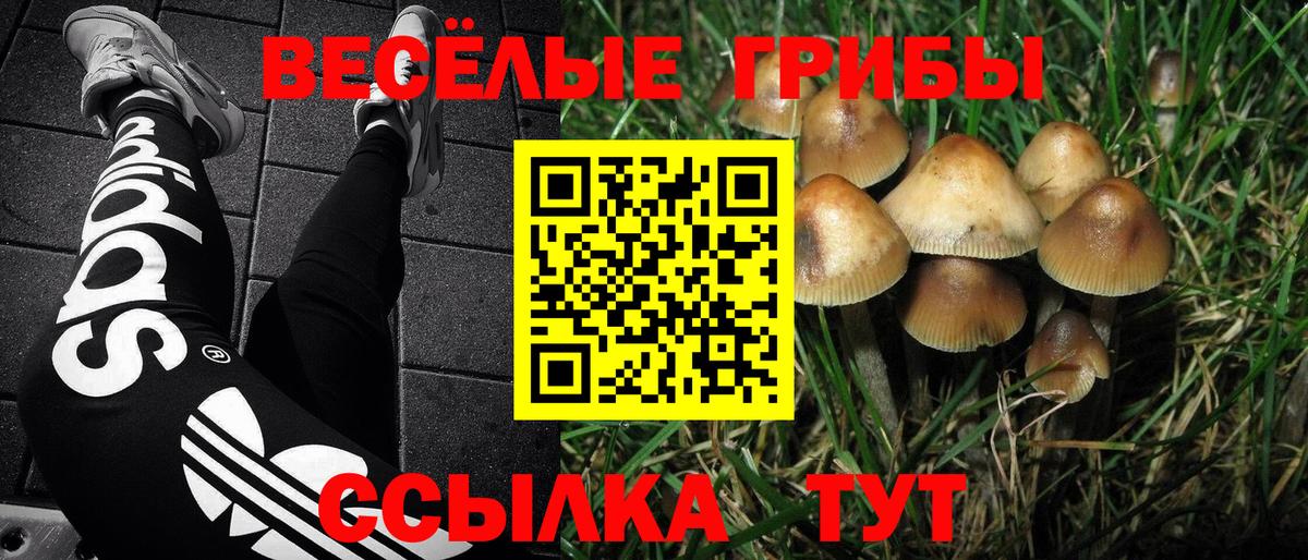 Галлюциногенные грибы GOLDEN TEACHER  купить  сайты  Вичуга  Вход с VPN 