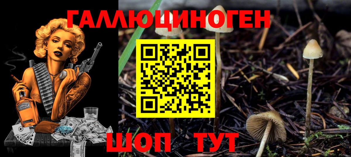 Псилоцибиновые грибы GOLDEN TEACHER Вичуга